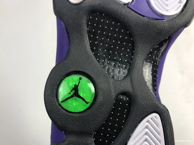 Purple Jordan Air Court DJ5982-015 13 1112